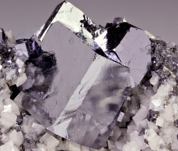 underthescopeminerals:   Galena with DolomiteLocality: