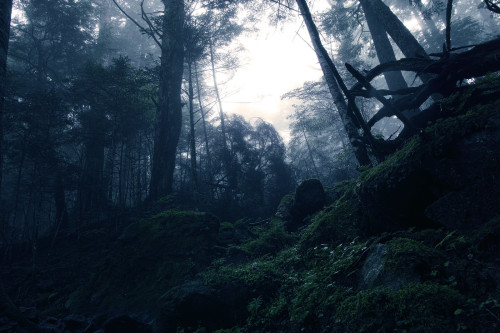 North Yatsugatake mountains / Nagano Prefecture by Seiuchi F