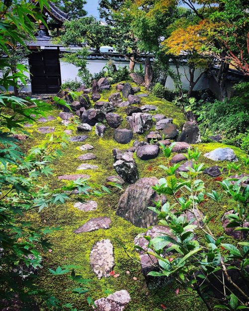 本門寺庭園 [ 奈良県大和郡山市 ] ② Honmonji Temple Garden, Yamatokoriyama, Nara ーー戦国武将 #筒井順慶 の菩提寺に #小堀遠州 が作庭した枯山水庭