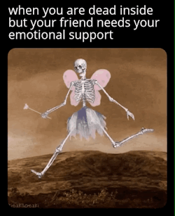 dankmemeuniversity: