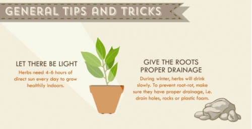 lifemadesimple: The Herb Grower’s Cheat Sheet*Growing seasons and planting information below a
