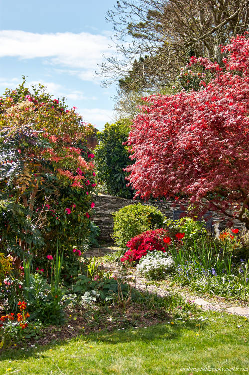 Cottage Garden