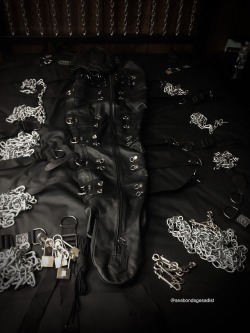 seabondagesadist: @alphadawgatl told me to go downstairs to the playroom.  I had an idea of what was coming but not entirely.  I found the sleepsack on the bed and pile of chains and locks. I got very excited for what was to come.  He bent me over