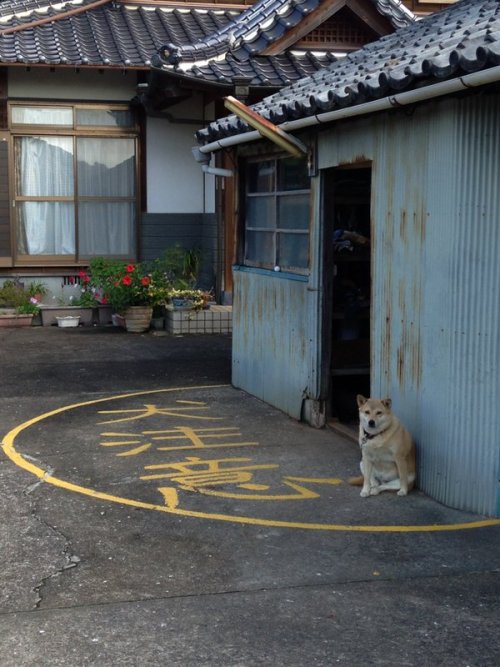 オッさんのTumblr.