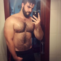 Hairy Men, Bears And Tattoos