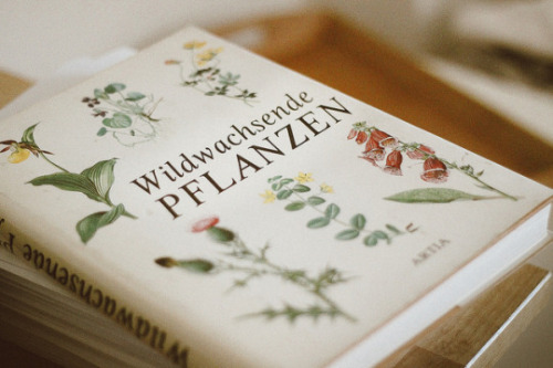 upthespiralstaircase: @WeHeartIt