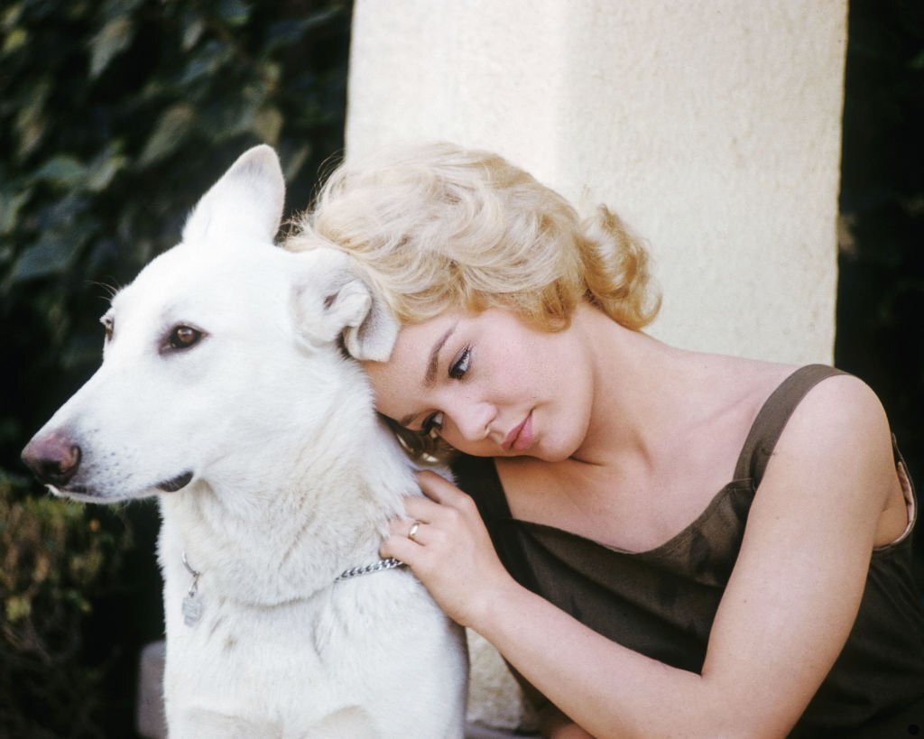 Tuesday Weld, circa 1965 (Photo by Silver Screen Collection/Getty Images)