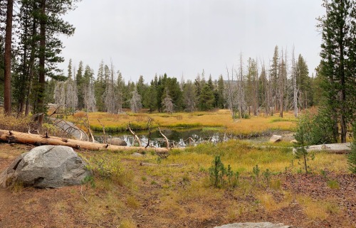 Autumn in the sierra nevadas is just spectacular. It happens much earlier than down in the foothills