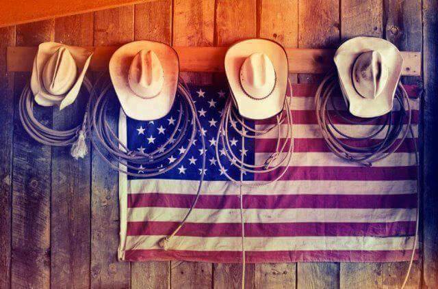 🌻➵🇺🇸