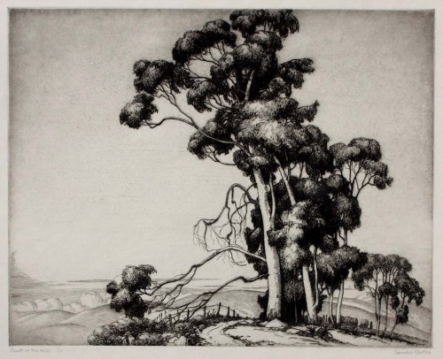 Cornelis Botke（American, 1887-1954）
Crest of the Hill 1930
Etching on wove paper
