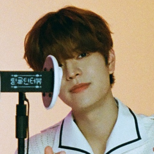 Hwang Hyunjin + Kim Seungmin Matching Icons/metadinhas.