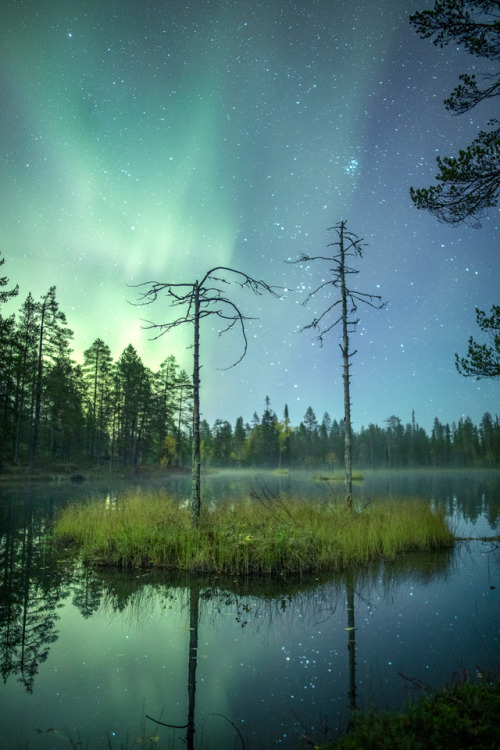 tiinatormanenphotography: Autumn vibes.  23th Sep 2017 Taivalkoski, Finland  by Tiina T&ou