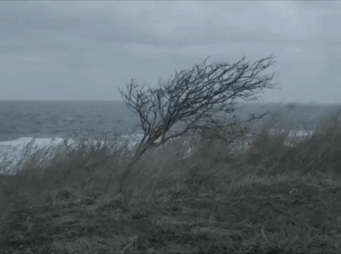 the treacle-well