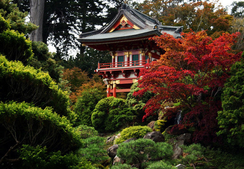 yuikki:San Francisco Japanese Tea Garden - Temple Gate 12 by Paul ‘Tuna’ Turner on Flick