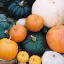 alwayswaitingforoctober