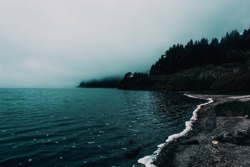 neonnobody:Photo by Steven Pahel on Unsplash