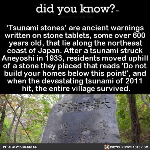 did-you-know:‘Tsunami stones’ are ancient warnings written on stone tablets, some over 600 years old