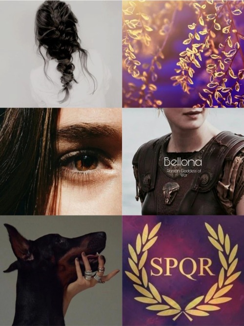 Bellona's Aesthetic