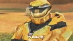 allisontex:rvb rewatch↳ season 1 episode 2; red gets a delivery