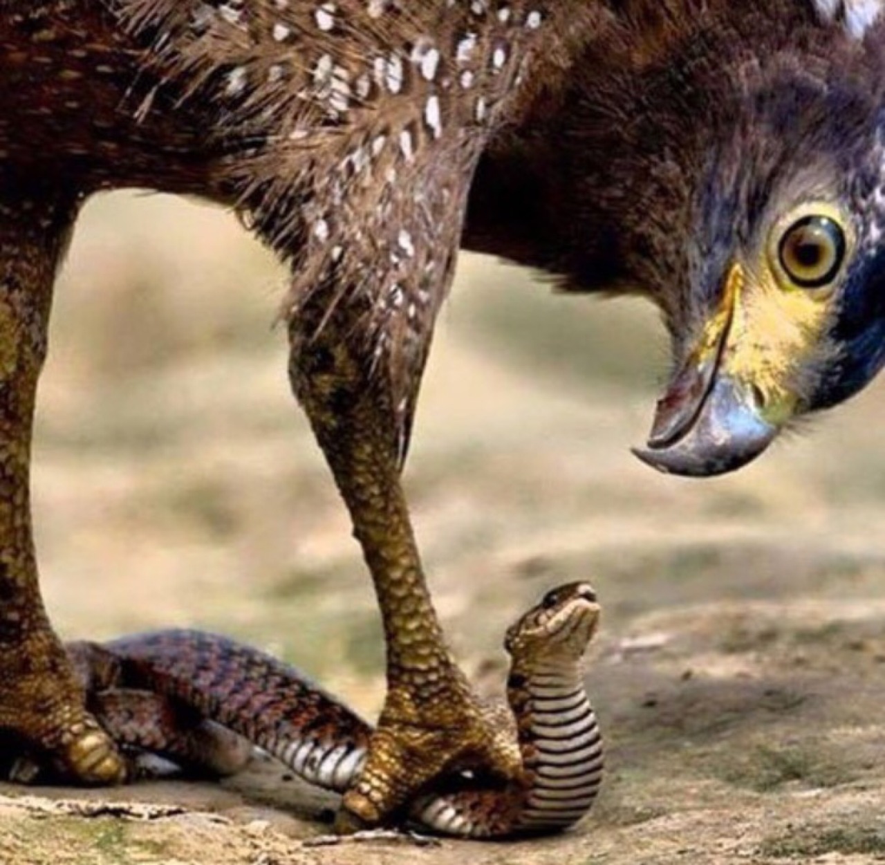 &ldquo;Listen here you lil bitch&rdquo;