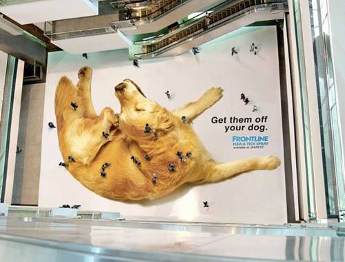 Sex trendingly:  Brilliant Ads That Work With pictures