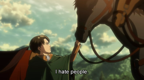 sparkafterdark: Whoever wrote that line has talked to a person who owns horses.