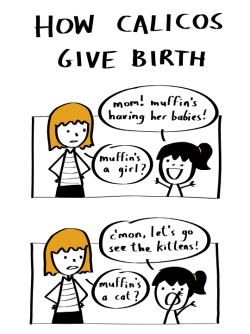 smilingribs:  How Calicos Give Birth. Based on a dream my girlfriend had. more of my comics on tumblr / twitter / facebook 