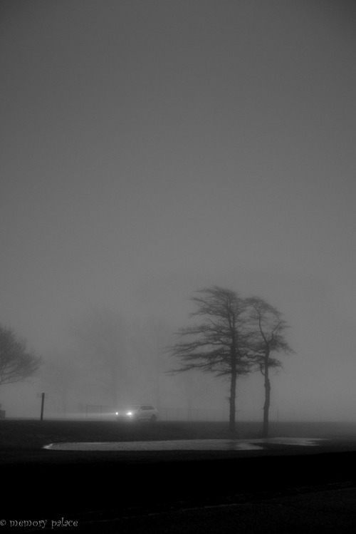 ~foggy evening at Heckscher State Park~ Long Island, January 2014Thank you all very much for your wo