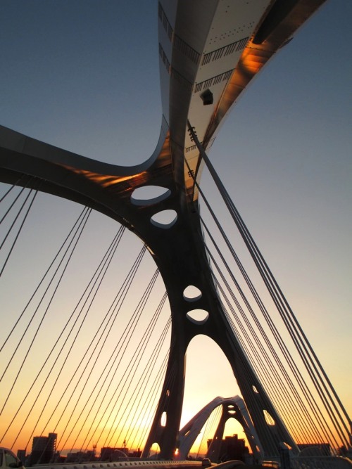Toyota Long bridge at the time of sunset.
