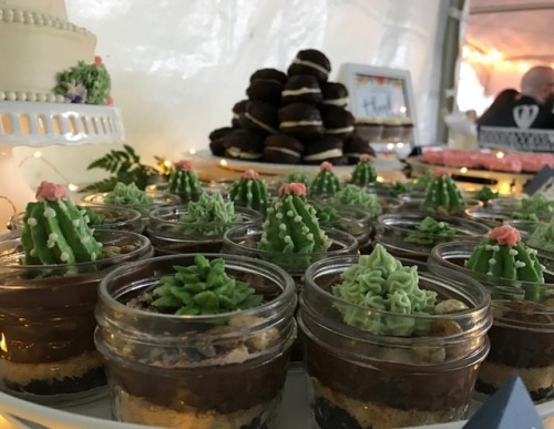 Dark chocolate cream pie terrariums, buttercream succulents. 🌵 (at Long Island, Moultonboro)