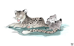 sketchinthoughts: spots!