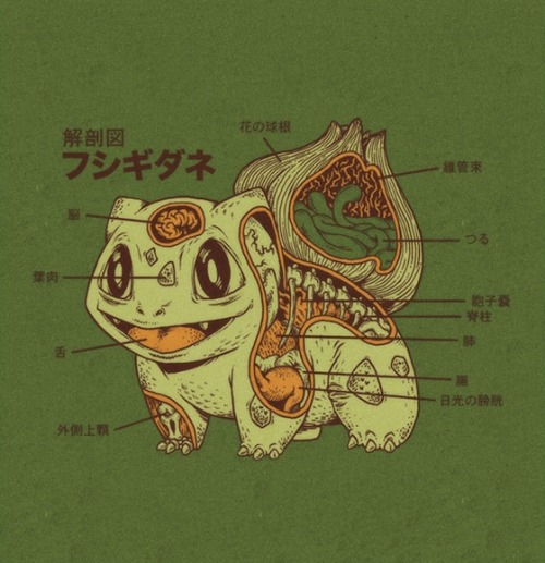 gaksdesigns:Japanese Pokemon Anatomy by Ryan Mauskopf