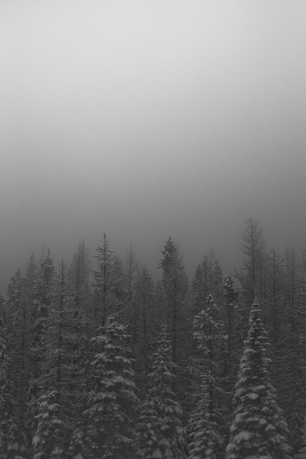 man-and-camera:   Winter Storm ➾ Luke Gram 