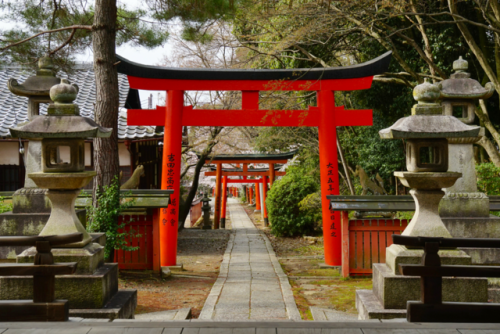 chitaka45:  京都 竹中稲荷神社 🌸桜🌸 kyoto takenaka inari jinja shrine
