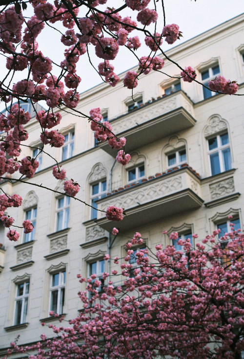 Berlin - April, 2018Afga Vista 400 x Olympus OM-1prints | instagram