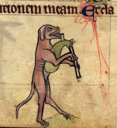 discardingimages:bagpiping dog (playing during the funeral procession of Reynard the Fox… above pray