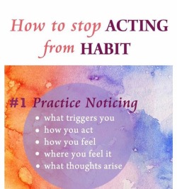 awake-society:  How To Stop Acting From Habit
