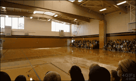 “I told ya there was a pool under the gym floor!” [video]
