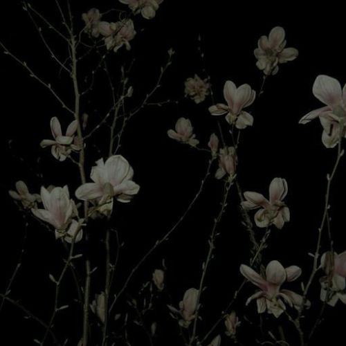  ⌞ FRANTIC ⌝