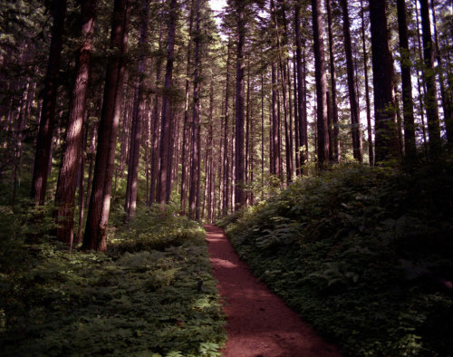 Columbia Gorge, OR by Eric Betancourt