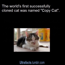 ultrafacts:  Source More Facts