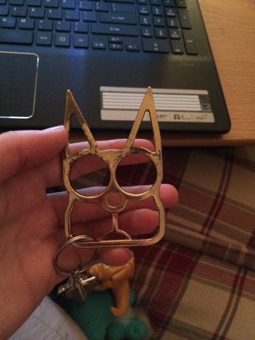 pissyeti:Instead of getting one of those shitty little plastic self defense cat keychains, get one o