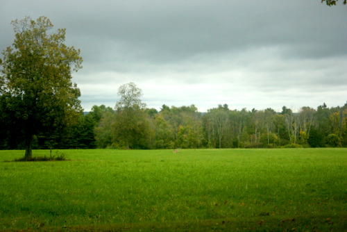 twilightsolo-photography: Clouds Over TopsmeadTopsmead State Forest in Connecticut©twilightsolo-phot