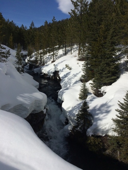 Tumalo FallsDeschutes Natl ForestWithin minutes of downtown Bend, OR, the Deschutes Natl Forest area