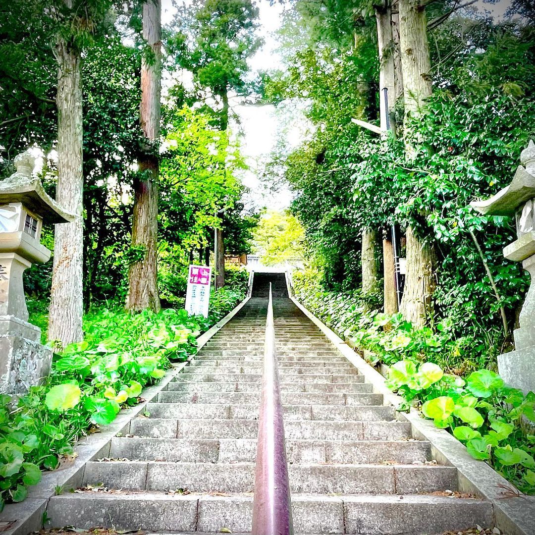 祥瓊 Explore Tumblr Posts And Blogs Tumgir 祥瓊 Explore Tumblr Posts And Blogs Tumgir