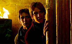 morsmordre-x:  harry potter meme: seven relationships [6/7] » fred &amp;