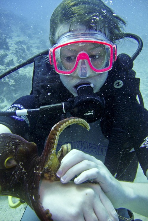 trynottodrown:Photo and caption by Chris MengesCassandra Lopez inspects an octopus as if it wer