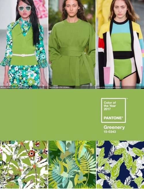 Pantone Color of the Year 2017: Greenery