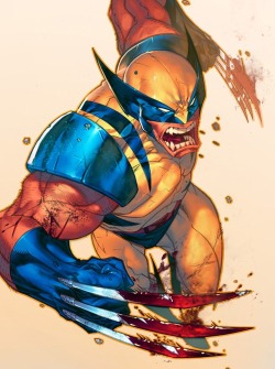 ferrisblueller:  Wolverine by Joe Madureira.