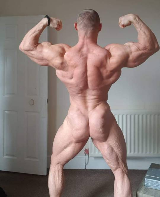 wrestlehead:  Lukas Gabris 